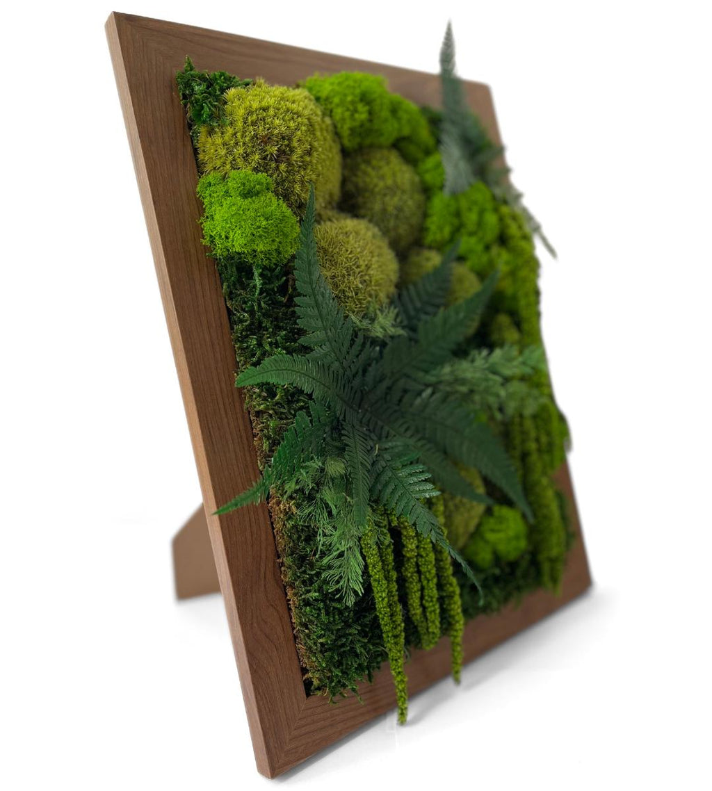 Preserved Moss Wall Art: Handmade Rustic Greenery Decor