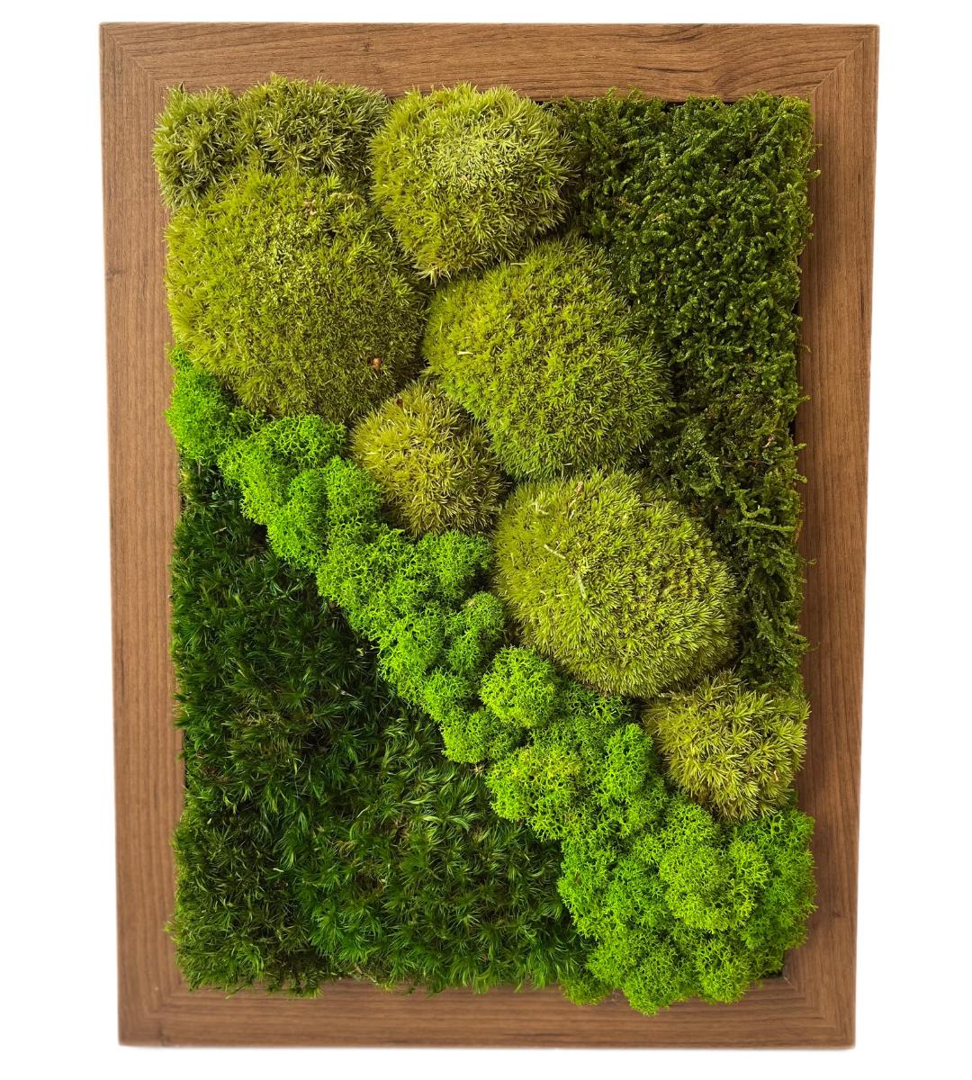 Preserved Moss Wall Art: Handmade Rustic Greenery Decor