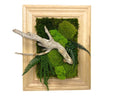 Preserved Moss Wall Art: Handmade Rustic Greenery Decor