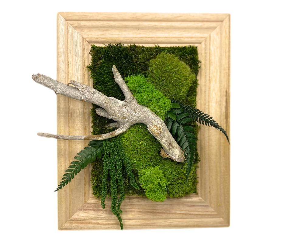 Preserved Moss Wall Art: Handmade Rustic Greenery Decor