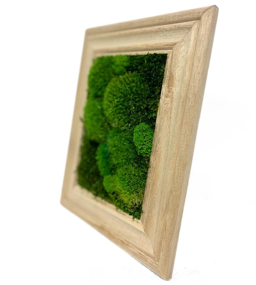 Preserved Moss Wall Art: Handmade Rustic Greenery Decor