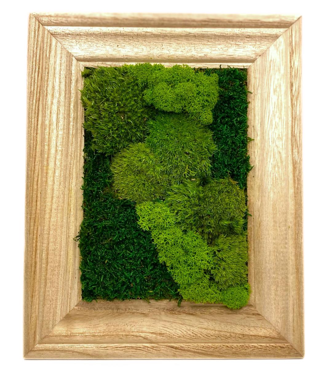 Preserved Moss Wall Art: Handmade Rustic Greenery Decor
