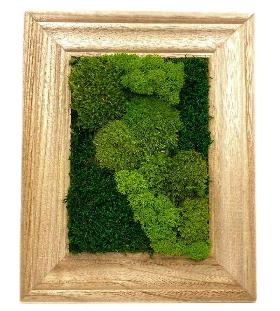 Preserved Moss Wall Art: Handmade Rustic Greenery Decor