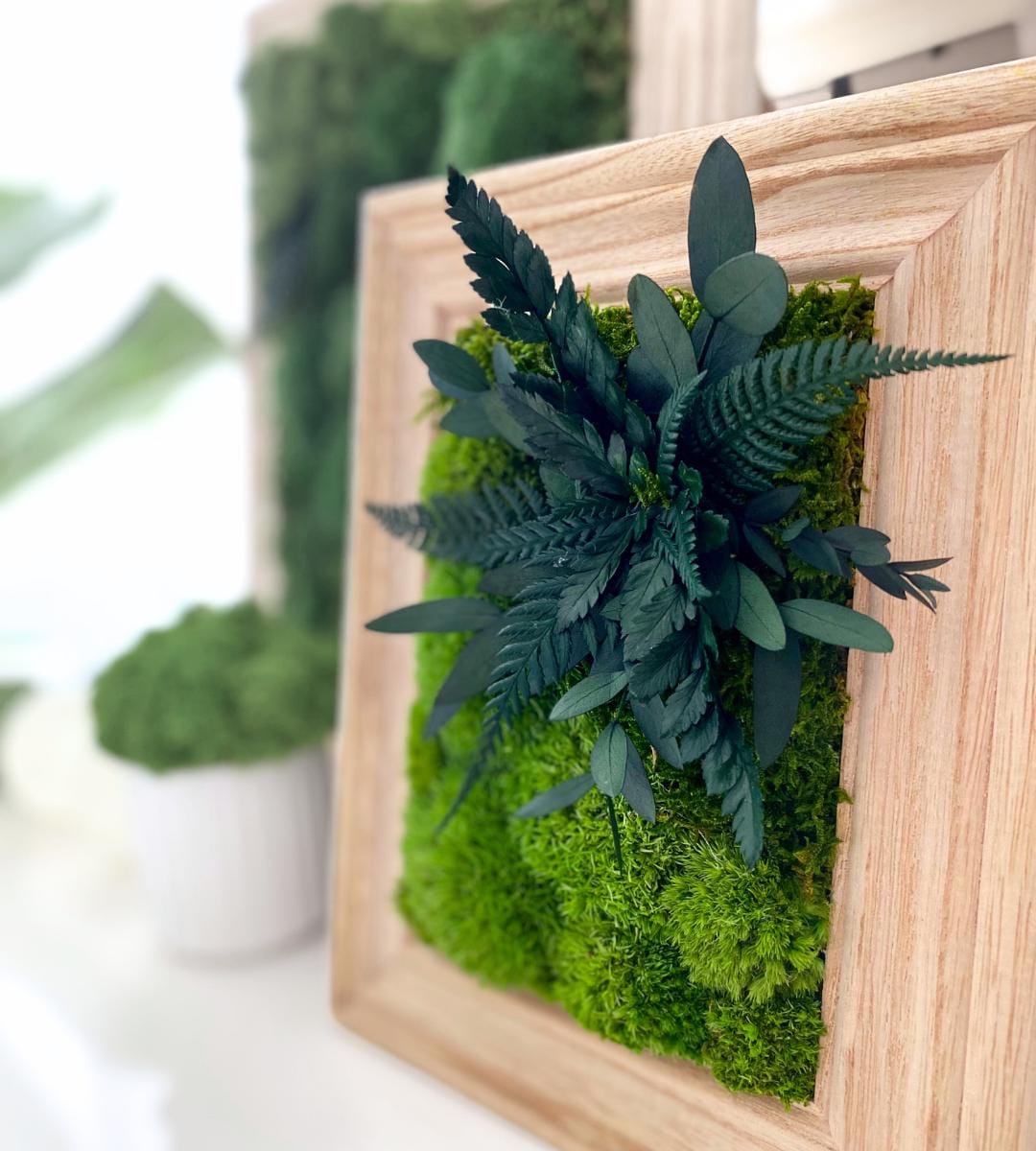 Preserved Moss Wall Art: Handmade Rustic Greenery Decor