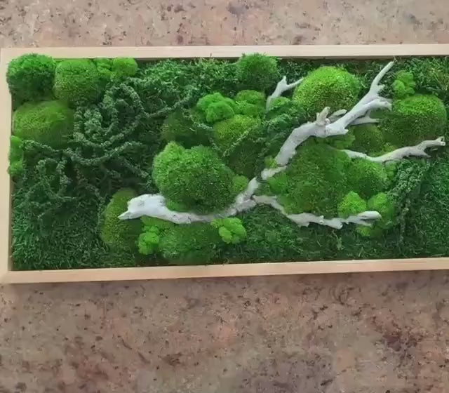 Preserved Moss Wall Art: Handmade Rustic Greenery Decor (30x100cm)